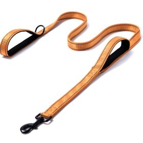 Pet Double Handle Pull Leash (Option: Orange)